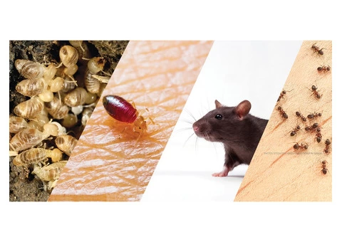 Best Pest Control Adelaide - 5/8