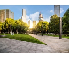 Need to Redecorate Your Driveway?