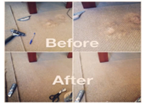 Get the domestic cleaning services at Perth Carpet Master