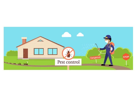 Pest Control Gold Coast