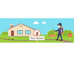 Pest Control Gold Coast