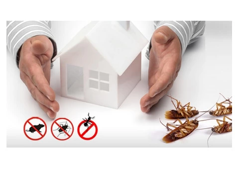 Pest Control Redlands