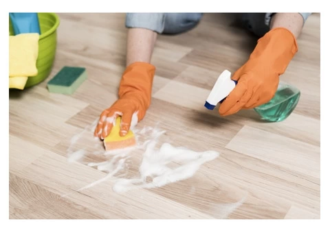 Would you like to make your carpets bacteria-free?