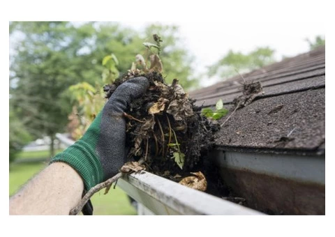 Top-notch equipment for cleaning services north shore - 2/4