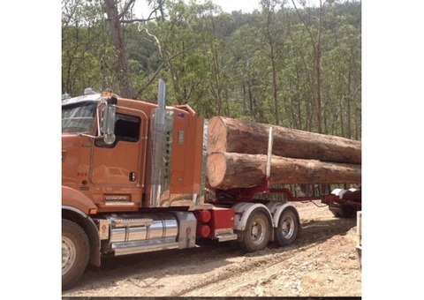 Experience Hassle-Free Timber Logging Operations with Log Check Forestry