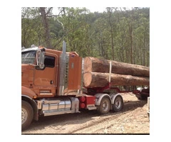 Experience Hassle-Free Timber Logging Operations with Log Check Forestry