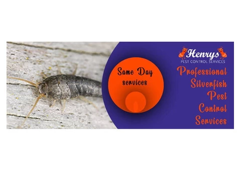 Silverfish Control Brisbane