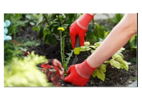 Landscape Gardening Melbourne