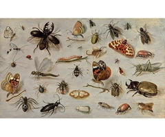 Impressive Pest Control Perth