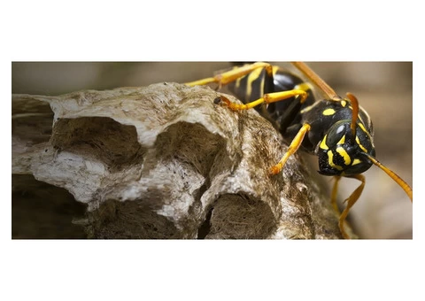 Impressive Pest Control Perth - 2/8