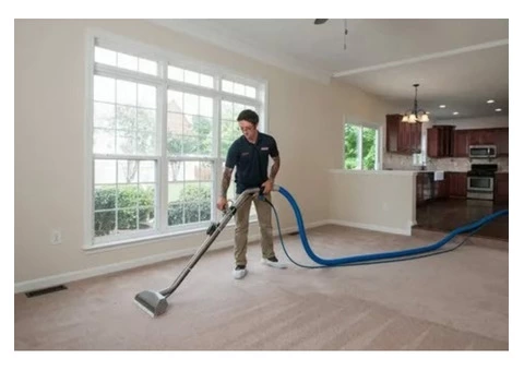 Carpet Cleaner Sydney