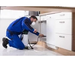 Best Pest Control Company in Melbourne - Silverfish Control Melbourne