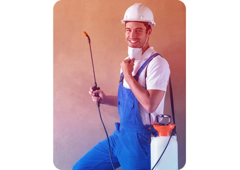 Hire Pestico pest control Brisbane : Protect Your Family And Your Home