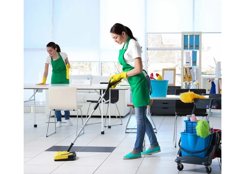 Custom Cleaning by Professionals That Yield 100% Satisfaction