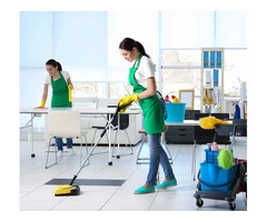Custom Cleaning by Professionals That Yield 100% Satisfaction