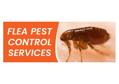 Flea Control Brisbane