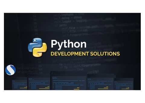 Python web app development company