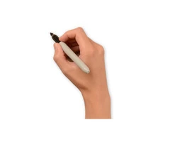 Tax investigation insurance