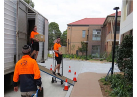 Residential Skip Bins for Hire in Brisbane