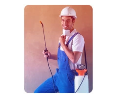 Best Pest Control Company in Melbourne, Get Moth Pest Control at low cost