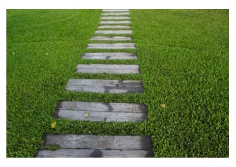 Decks, Patios & Pagolas Services - LivingScape Landscape Design & Construction - 4/7