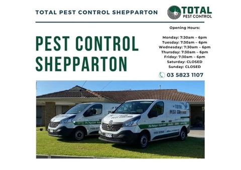 Bid Goodbye to Termites with Expert Termite Control Bendigo - 1/6