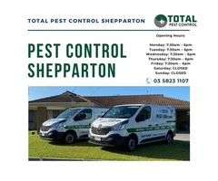 Bid Goodbye to Termites with Expert Termite Control Bendigo