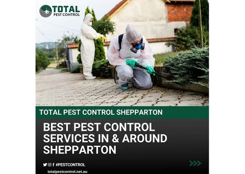 Bid Goodbye to Termites with Expert Termite Control Bendigo - 6/6