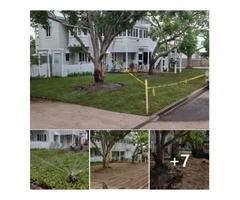 Massive 550m2 irrigation and returf. (Front yard)