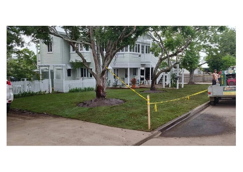 Massive 550m2 irrigation and returf. (Front yard) - 2/8