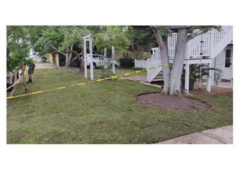 Massive 550m2 irrigation and returf. (Front yard) - 6/8