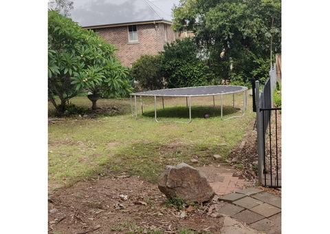 Massive 550m2 irrigation and returf. (Backyard) - 5/8