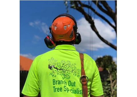 Stump Grinding Sydney