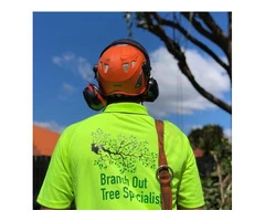 Stump Grinding Sydney