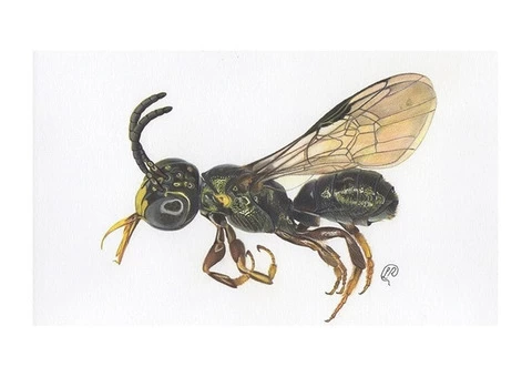 Professional Pest Control Melbourne - 2/4