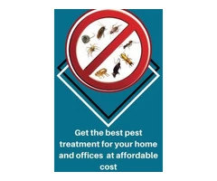Keep Your Property Free From Pests with Timely Pest Inspection Services