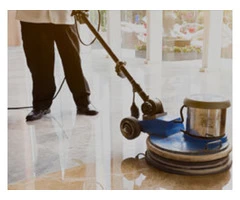 Professional Carpet Cleaning in Brisbane
