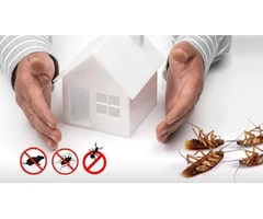 Pest Control Kelvin Grove
