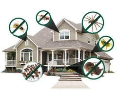 Domestic Pest Control Services Melbourne, VIC