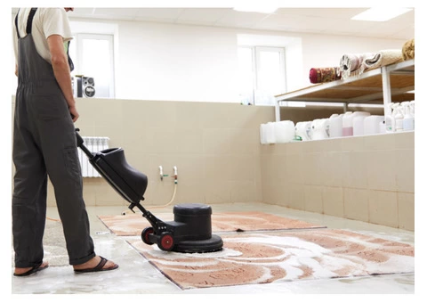 Searching for professional carpet cleaners in Perth?