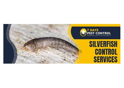 Silverfish Control Brisbane