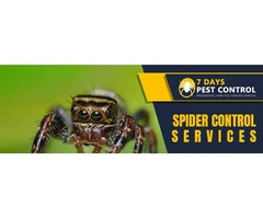 Spider Control Brisbane
