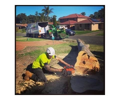 Sydney Wide Tree Cutting