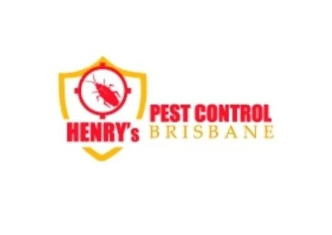Local Pest Control Brisbane - 1/4