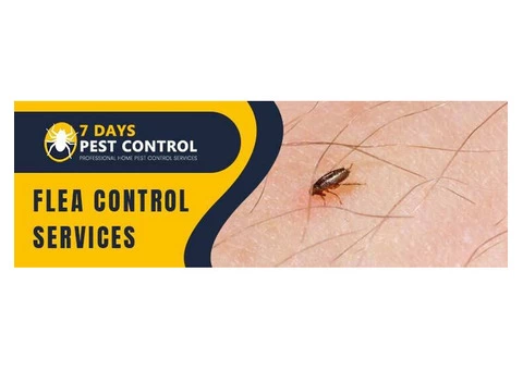 Flea Control Brisbane
