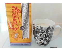 Searching For The Best Soy Milk in Australia