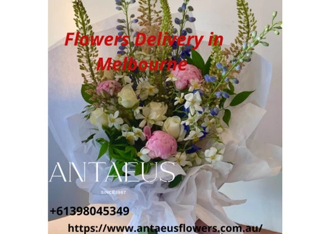 Get The Best flowers delivery in Melbourne - Antaeus Flowers