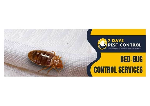 Bed Bug Control Brisbane