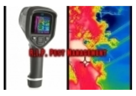 Afraid Of Termite Infestation And Need To Hire Inspection Services To Be Sure?