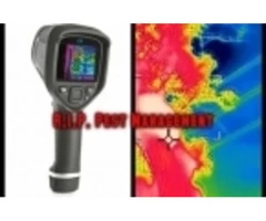 Afraid Of Termite Infestation And Need To Hire Inspection Services To Be Sure?